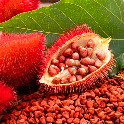 achiote