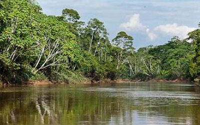 Comuna Kichwa Rio Tiputini